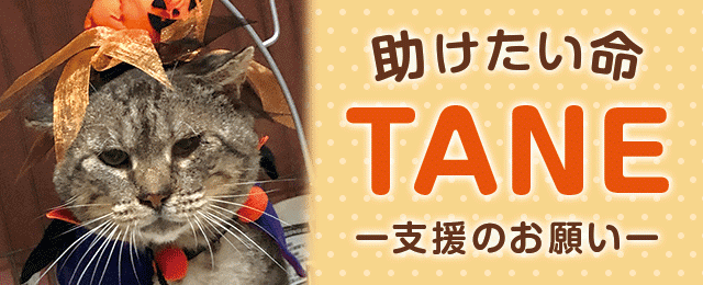 助けたい命 TANE 支援のお願い